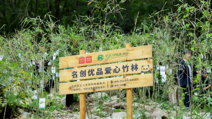 名創優品×中國綠化基金會，
攜手網友共同為大熊貓種植竹林